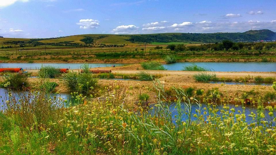 Farm stay Pastravaria Ursu *