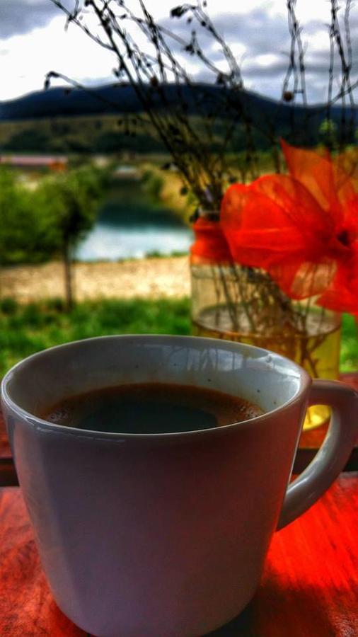 Farm stay Pastravaria Ursu *