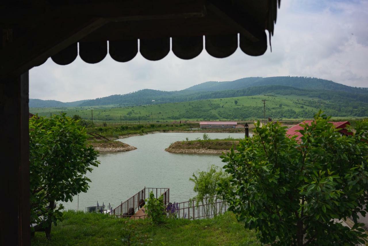 Pastravaria Ursu * Vinatori-Neamt